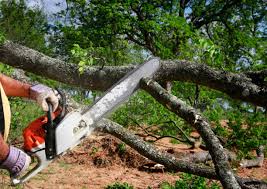 Lawn Watering Services in Booneville, AR